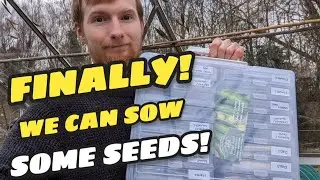 March Allotment Seed Sowing! I've waited all winter for this!