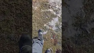 walking on crunchy grass ASMR