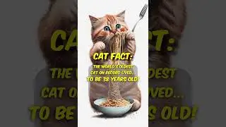 How old is the oldest cat?🙀 #cat #catlover #cats #catfact