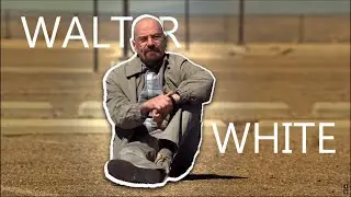 Walter Whites Empire Business | ZAREK