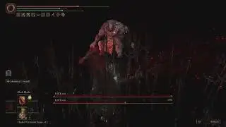 Elden Ring - Fell Twin Boss Fight & Location