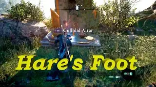 How to get Hare's Foot - Make the Offering - Gullhlid Altar - Dawn of Ragnarok - AC Valhalla
