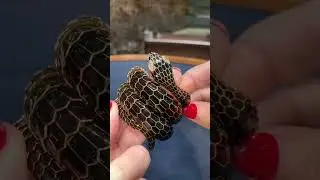 Gold and Enamel Snake Bracelet
