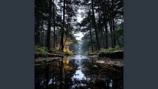 Flowing Creek
