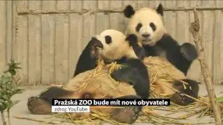 Pražská ZOO bude mít nové obyvatele