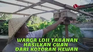 HASILKAN CUAN DARI KOTORAN HEWAN. KOK BISA?