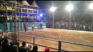 Festa de rodeou ďe felicio dos santos MG 2017