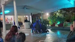 11 de enero de 2026