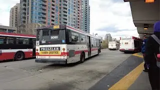 TTC 49 Bloor West Bus Ride #8080 from Kipling Stn to Markland Wood & Back (November 10th, 2023)