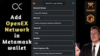 How to add openEx network in Metamask wallet