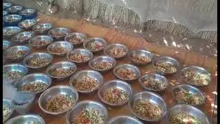 Food Meals Distribution - Sudan - Al-Fasher Refugees - 24 December 2025