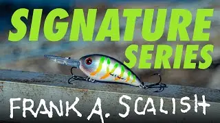 March Exclusive Bomber Fat Free Shad in Tiger Shad: Frank Scalish Signature Series