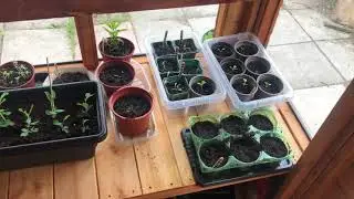 Tales from the Potting Shed - Episode 16