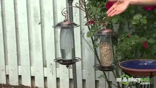 How To Provide Water For Birds