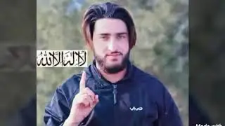 Shaheed walid mir