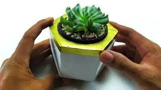 DIY HEXAGONAL POTS BEAUTIFUL AT HOME || DIY SUCCULENT POTS || CEMENT CRAFT IDEAS