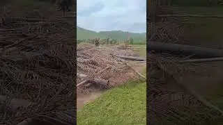 Congo 242 aujourdhuit 16/01/26,Mayama au pool ca br&ucirc;le sassou veut le sang de ntumi 