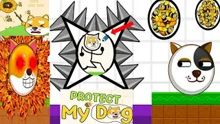 Save The Doge Game 🐕