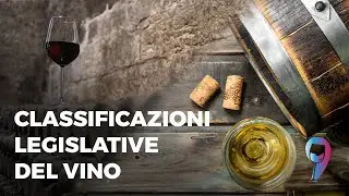 Le classificazioni legislative del vino: IGT, DOC, DOCG e Vino da tavola