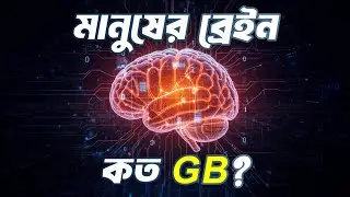 মানুষের মস্তিষ্কের স্টোরেজ ক্ষমতা কত? | Brain Memory Capacity in Bangla