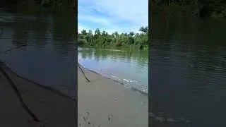 joran nya buanyak #mancing #mancingmania #mancingceria