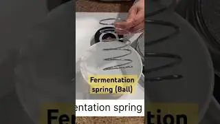Best weight and lid for fermenting sauerkraut and pickles: a spring and a vacuum lid - no mold!