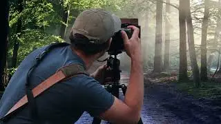 Top 5  Websites for Royalty Free Images for Commercial use | No Copyright Images