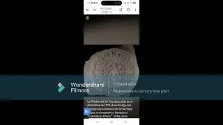 google arts and culture, para qué puede ser usado