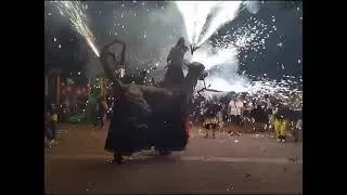 Cròniques de la Festa Major 2023. Tòtems, gegants i bèsties