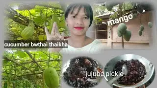 chni mwi rok thase thaija😏Boroi aachar snamha tni||#vlog #tripuravloger #kokborokvideo2023 Khumsari🌺
