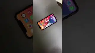Apple11