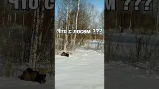 Подробности на тг канале Жизнь на Волге  
