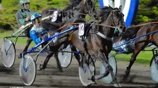 Hans Crebas och Condor Motion segrar p&aring; Kalmartravet 2 oktober 2015