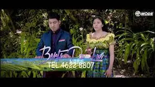// SOLISTA BERTA PU LUX \\ LA GRAN TRIBULACI&Oacute;N 