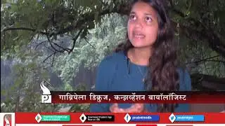 3 MOLLEM PROJECTS WILL ENDANGER WILDLIFE: ACTIVISTS_Prudent Media Goa