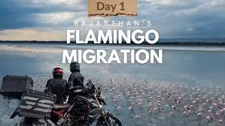 My Rajasthan Bike Journey Begins | Jaipur to Pushkar via Flamingos & a Hidden Desert | Episode 1