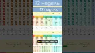 трекер в тг канале:  