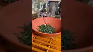 How to brew gyokuro tea feat. tearannosaurusrex_ #shorts