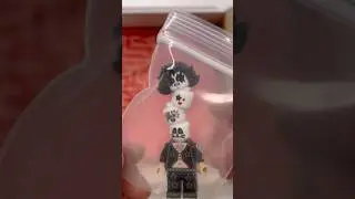Unboxing a Package from My Favorite LEGO Custom Shop, Citizen Brick