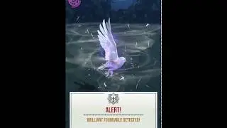 【Harry Potter: Wizards Unite】Brilliant Hedwig with a Whirlwind