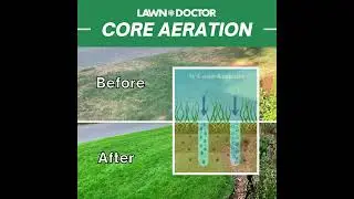 Lawn Aeration Explained &ndash; Boost Root Growth & Revive Your Lawn | Lawn Doctor