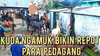 PASAR KUDA | KUDA MENGAMUK BIKIN REPOT PEDAGANG KUDA | PASAR KUDA PART 51