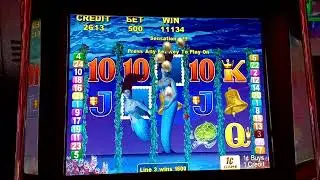 Magic Mermaid Awesome Bonus!!