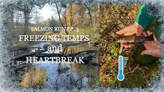 Battling FREEZING Temps and Dealing With HEARTBREAK - Salmon Run 2025 Episode 3