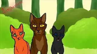 Brambleclaw AMV Kill Your Heroes