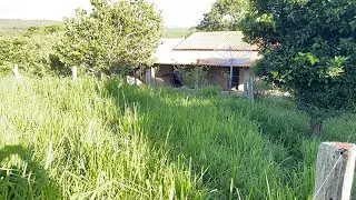 Chácara 2 Alq R$ 700.000 mil a 70 km de Goiânia rica em água