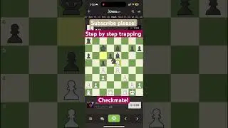 Finding a good trade is skill! Checkmate! #chesscn #learningchess #siciliandefense  #chessproblems