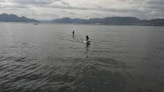 Shiratake makes flat foiling.