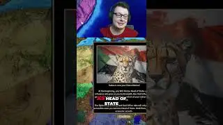 Sudan erobern: So spielst du das Strategiespiel