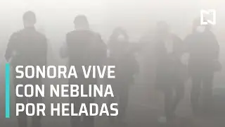 Heladas en Sonora 2021 | D&eacute;cima tormenta invernal en Sonora 2021 - Las Noticias